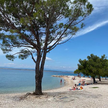 Family Apartments Vesna- 100 M Beach -Center Crikvenica Ngoại thất bức ảnh