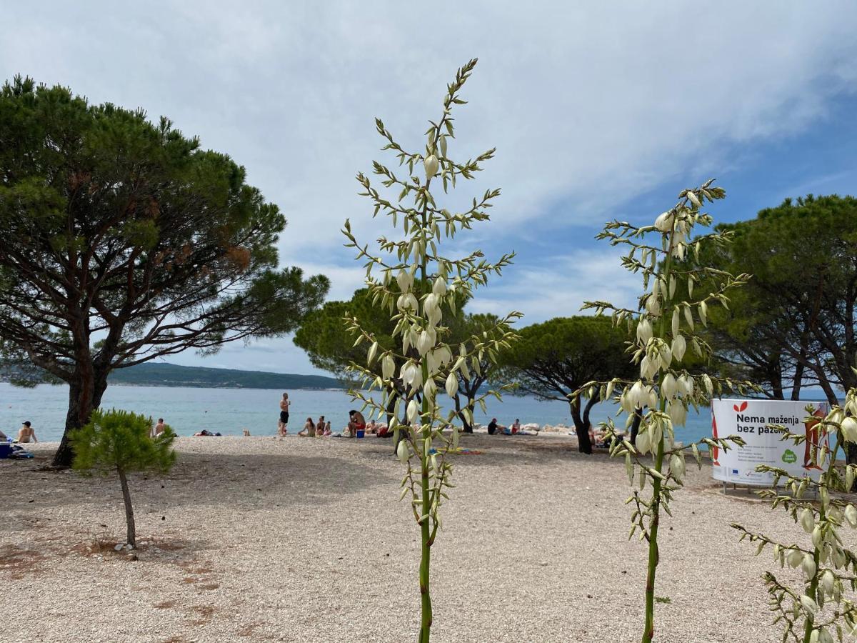 Family Apartments Vesna- 100 M Beach -Center Crikvenica Ngoại thất bức ảnh