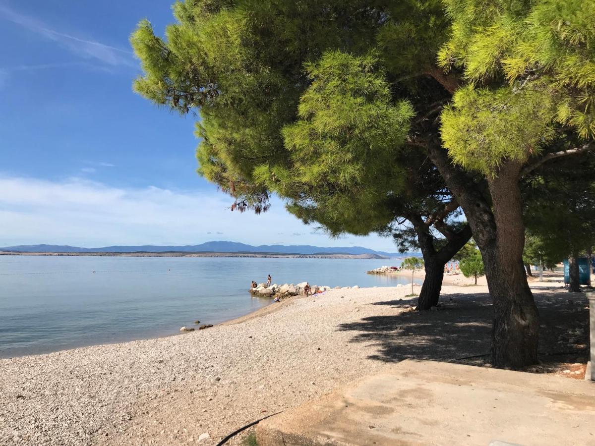 Family Apartments Vesna- 100 M Beach -Center Crikvenica Ngoại thất bức ảnh